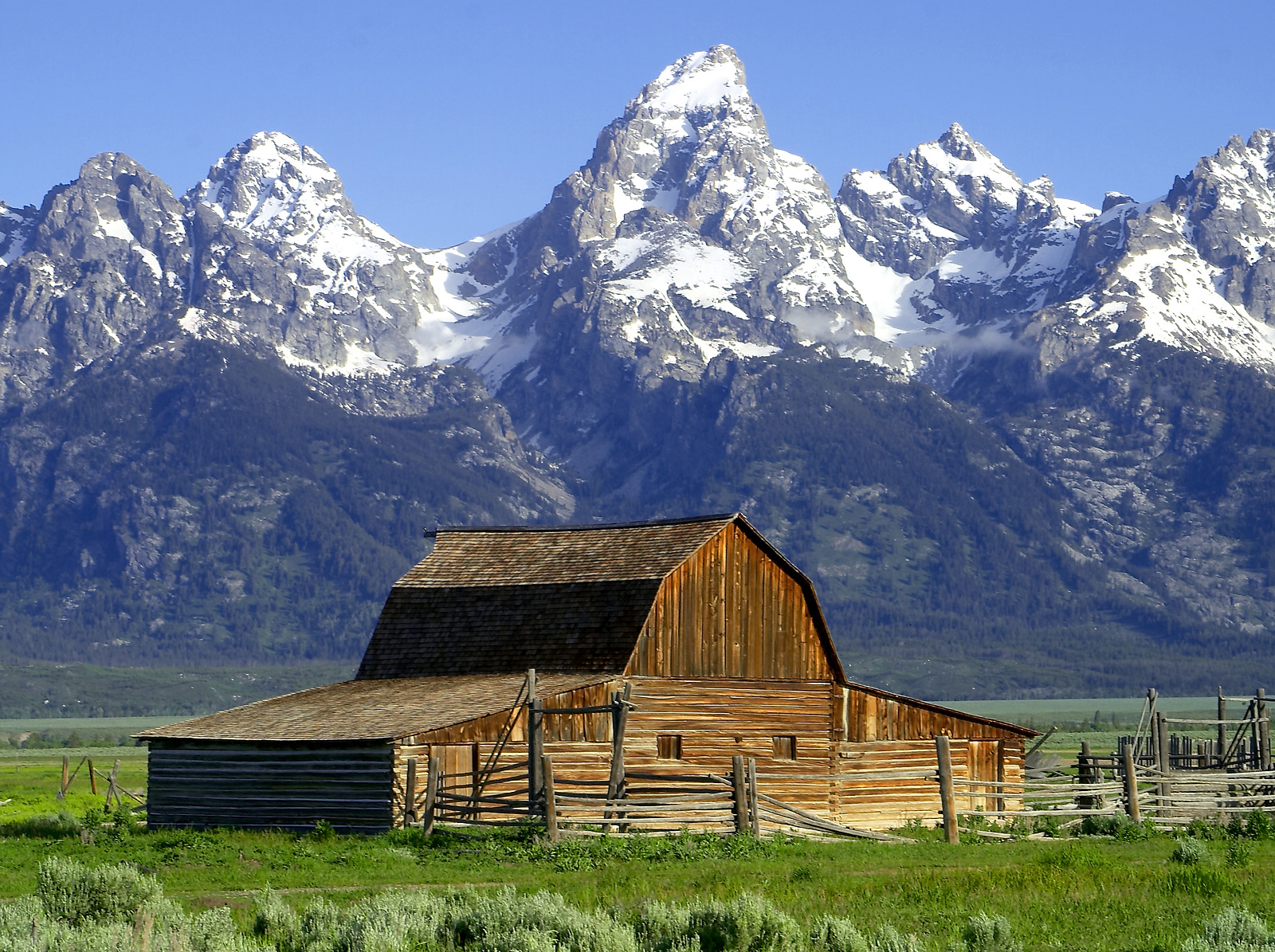 Grand Teton