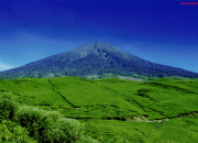 Menjelajahi Keindahan Gunung Bandahara di Aceh: Petualangan yang Tak Terlupakan