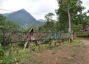 Menjelajahi Keindahan Gunung Betung: Petualangan Seru di Lampung