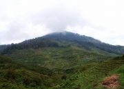 Gunung Bukit Tunggul