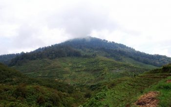 Gunung Bukit Tunggul