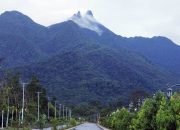 Gunung Daik, Kepulauan Riau 