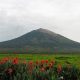 Gunung Kerinci, Jambi dan Sumatera Barat 