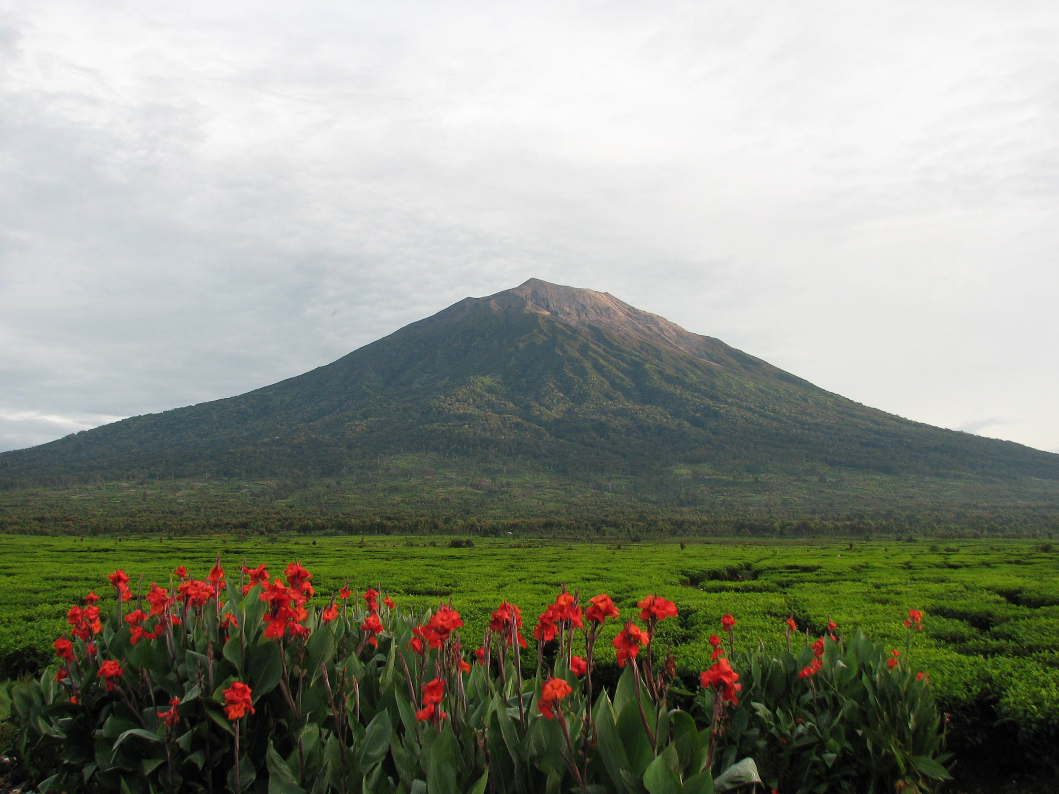 Gunung Kerinci, Jambi dan Sumatera Barat 