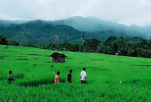 Gunung Kulabu, Sumatera Barat