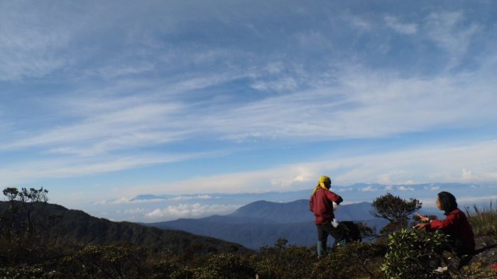 Gunung Kurik, Aceh