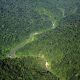 Gunung Leuser