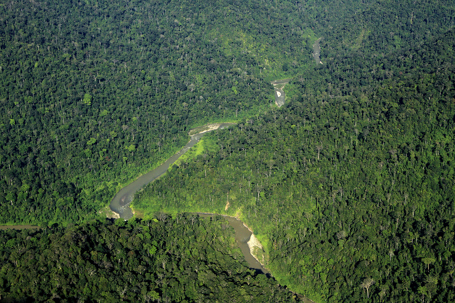 Gunung Leuser