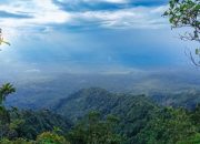 Menjelajahi Keindahan Gunung Pesawaran di Lampung