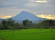 Menjelajahi Keindahan Gunung Seulawah Inong: Surga Tersembunyi di Aceh