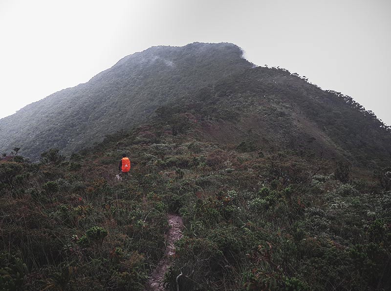 Gunung Sibuatan, Sumatera Utara