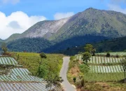 Menikmati Keindahan Alam Gunung Talang di Sumatera Barat