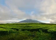 Gunung Tambin, Sumatera Barat