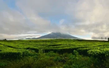 Gunung Tambin, Sumatera Barat