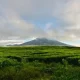 Menjelajahi Keindahan Gunung Tambin: Surga Tersembunyi di Sumatera Barat