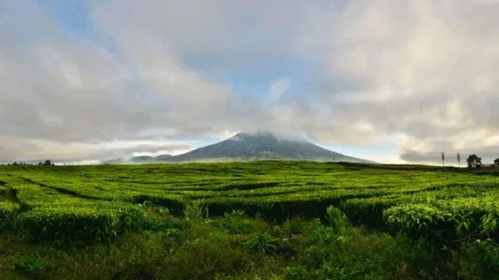 Gunung Tambin, Sumatera Barat