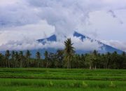 Menjelajahi Keindahan Gunung Tanggamus: Surga Tersembunyi di Lampung