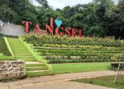 10 Tempat Wisata Seru di Tangerang Selatan yang Wajib Dikunjungi